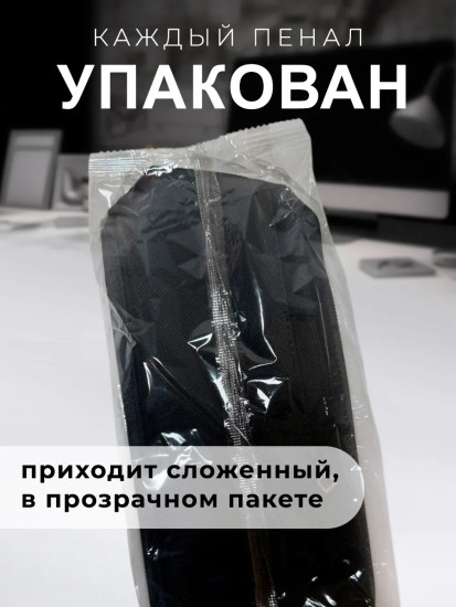 Пенал школьный