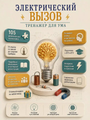 Электрический вызов. Тренажёр для ума - Фото 4