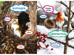 Животные. Как говорят, что едят и где живут - Фото 7