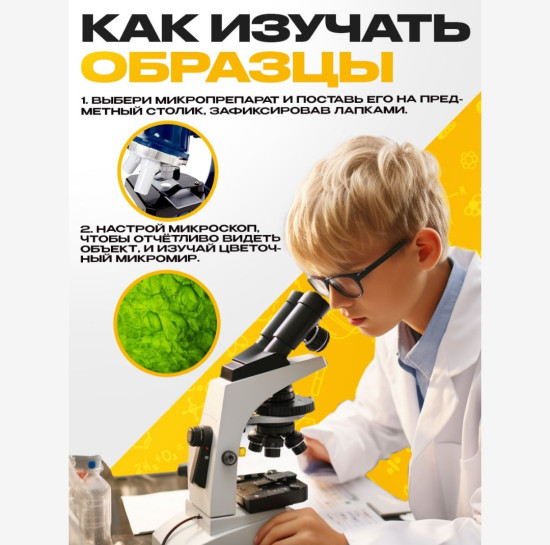 Набор для опытов «Набор микропрепаратов», растения