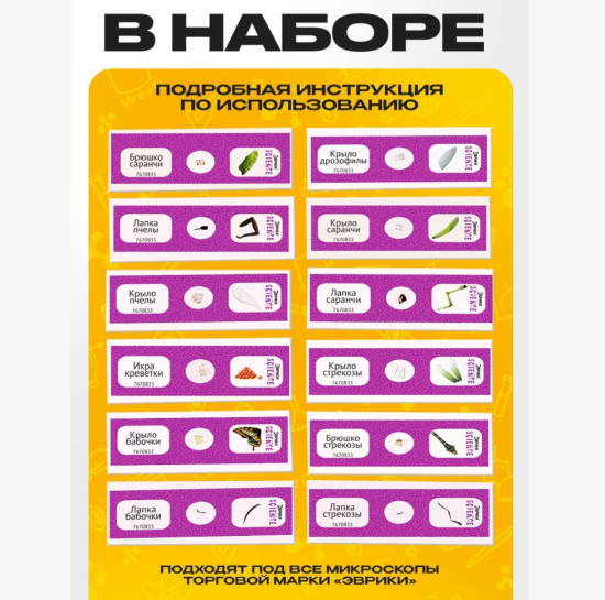Набор для опытов «Набор микропрепаратов», насекомые