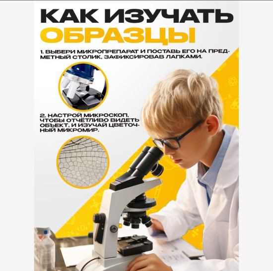 Набор для опытов «Набор микропрепаратов», насекомые