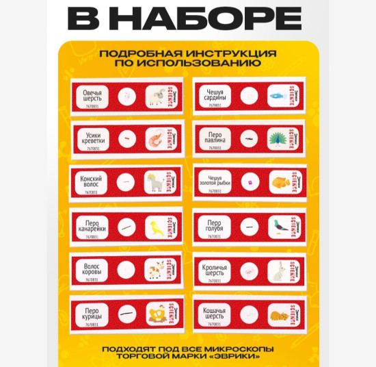Набор для опытов «Набор микропрепаратов», животные 8,5×2×13,5см