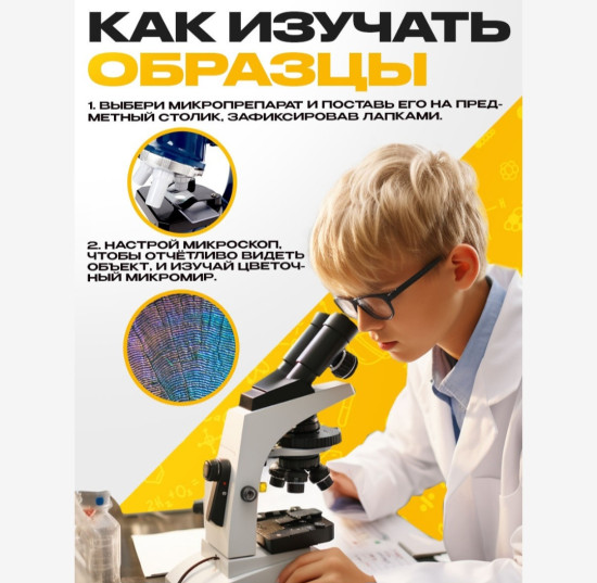 Набор для опытов «Набор микропрепаратов», животные 8,5×2×13,5см
