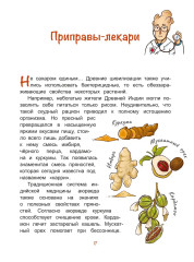 Жили-были приправы - Фото 6