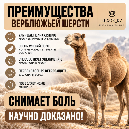 Женские носки набор туйе 5 пар