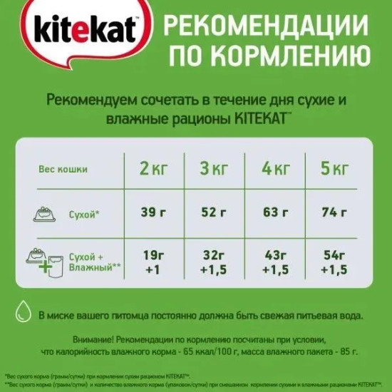 Набор влажного корма для кошек «Сочная говядина в желе»