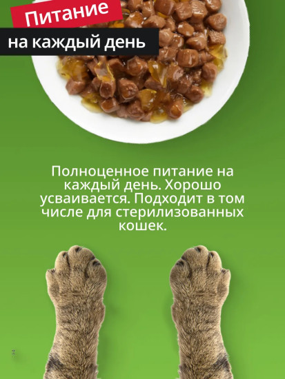 Набор влажного корма для кошек «Сочная говядина в соусе»