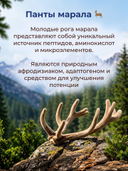 Крем-стик Панты Марала - Фото 4