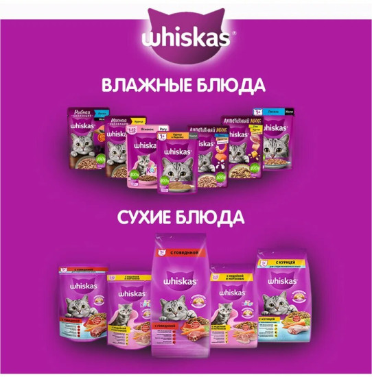 Набор влажного корма для кошек «Паштет с форелью»