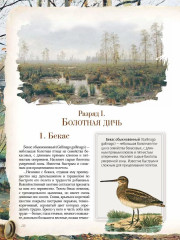 Записки ружейного охотника - Фото 7