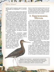 Записки ружейного охотника - Фото 9