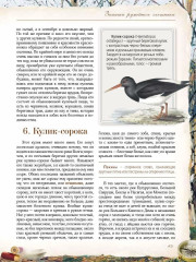 Записки ружейного охотника - Фото 10