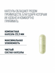 Фитосомы босвеллии «Boswellia Phytosome» - Фото 4