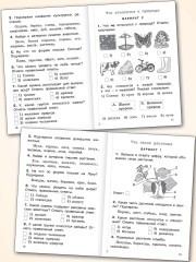 Тематический контроль по курсу «Окружающий мир». 1 класс - Фото 4