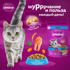 Корм сухой для кошек «Вкусные подушечки с нежным паштетом. Аппетитный обед с лососем» - Фото 4