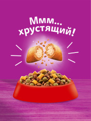 Корм сухой для кошек «Вкусные подушечки с нежным паштетом. Аппетитный обед с лососем» - Фото 5