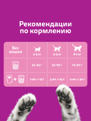 Корм сухой для кошек «Вкусные подушечки с нежным паштетом. Аппетитный обед с лососем» - Фото 6