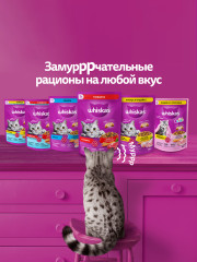 Корм сухой для кошек «Вкусные подушечки с нежным паштетом. Аппетитный обед с лососем» - Фото 8