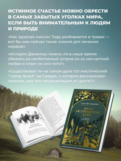 Край островерхих елей