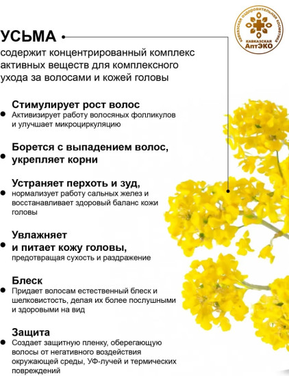 Гидролат Усьмы для волос, 100мл