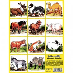 Развивающее лото "Домашние животные" - Фото 1