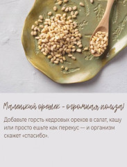 Кедровый орех - Фото 6