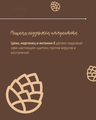 Кедровый орех - Фото 5