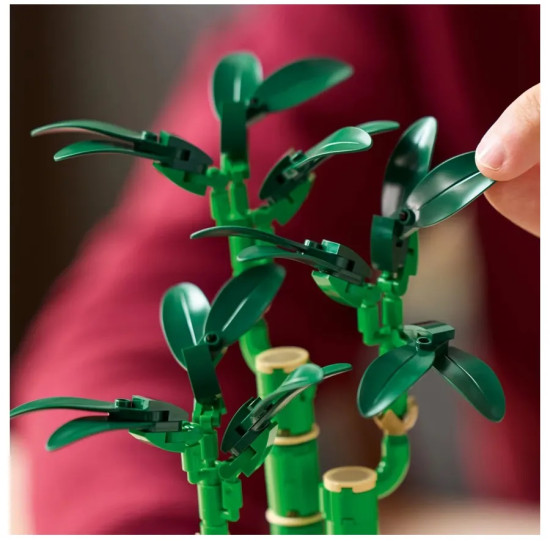 LEGO удачи Botanicals 10344