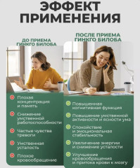 Капсулы «Гинко билоба» - Фото 4