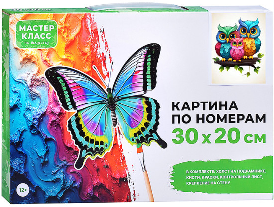 Картина по номерам «Семья сов»
