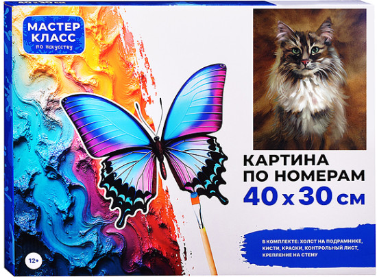 Картина по номерам «Сибираская кошка»