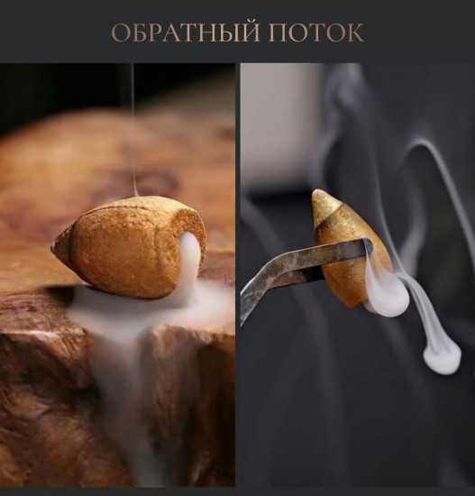 Аромаконусы золотые