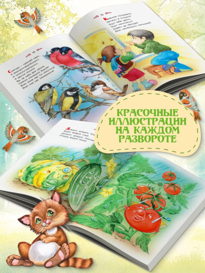 Мои первые потешки и песенки