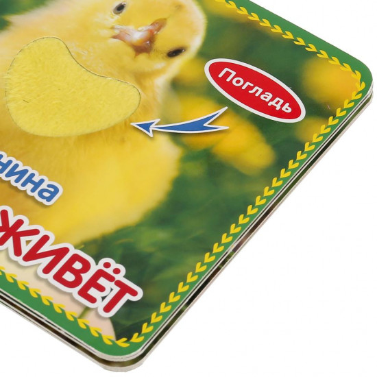Кто где живет