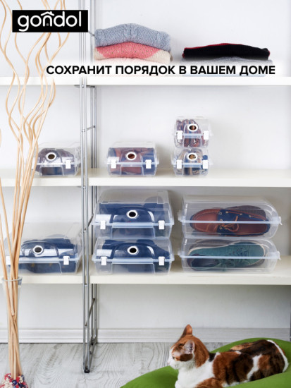 Коробка для хранения обуви G-420