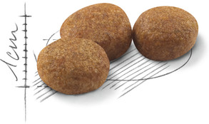 Корм для кошек «Sterilised 37»