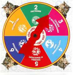 Настольная игра-ходилка «Викторина: где? что? когда?» - Фото 2