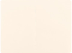 Скетчбук-альбом для рисования «Lovely flowers» - Фото 2