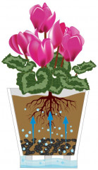 Горшок цветочный для орхидеи «Лея» - Фото 2