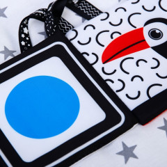 Книжка-бортик по методике Г.Домана «Я изучаю цвета» - Фото 3