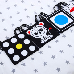 Книжка-бортик по методике Г.Домана «Я изучаю цвета» - Фото 5