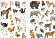 Многоразовые наклейки «Такие разные животные» - Фото 1