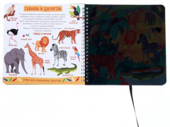 Секретная книга с волшебным фонариком «Зооленд» - Фото 2