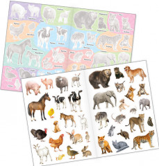 Наклейки многоразовые «Познавательные» - Фото 1