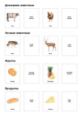 Смотрю. Играю. Узнаю. 70 развивающих карточек. Набор № 1. Учу английские слова - Фото 1