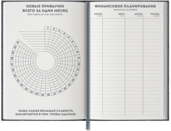 Ежедневник недатированный