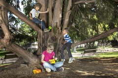 Ланч — бокс «MB Tresor», банановый - Фото 3