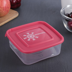 Контейнер «Морозко» - Фото 1