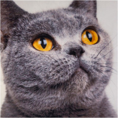 Наволочка декоративная - Фото 1